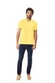 amarelo-i