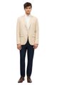 blazer-beg.jpg